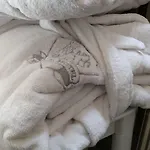 Palace Hotel 5*